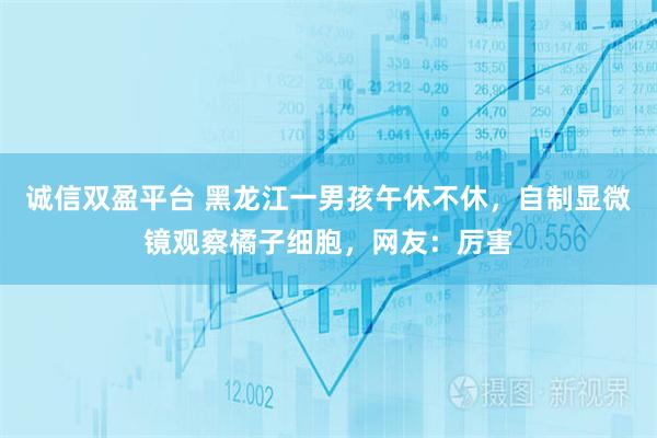 诚信双盈平台 黑龙江一男孩午休不休，自制显微镜观察橘子细胞，网友：厉害
