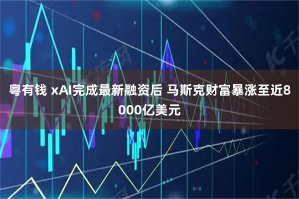 粤有钱 xAI完成最新融资后 马斯克财富暴涨至近8000亿美元