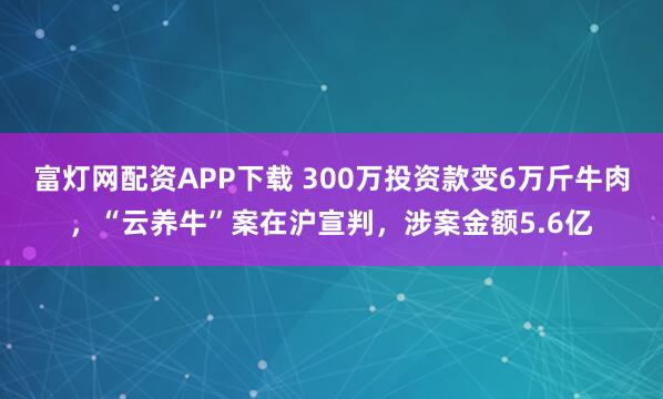 富灯网配资APP下载 300万投资款变6万斤牛肉，“云养牛”案在沪宣判，涉案金额5.6亿